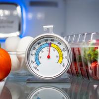 Food Safety