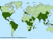 Current or previous local transmission of Chikungunya virus