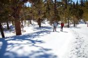 Winter Trail at Inyo Craters, Mono County Winter Trail at Inyo Craters, Mono County