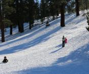 Sledding in Mono County Sledding in Mono County