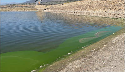 Bridgeport Reservoir