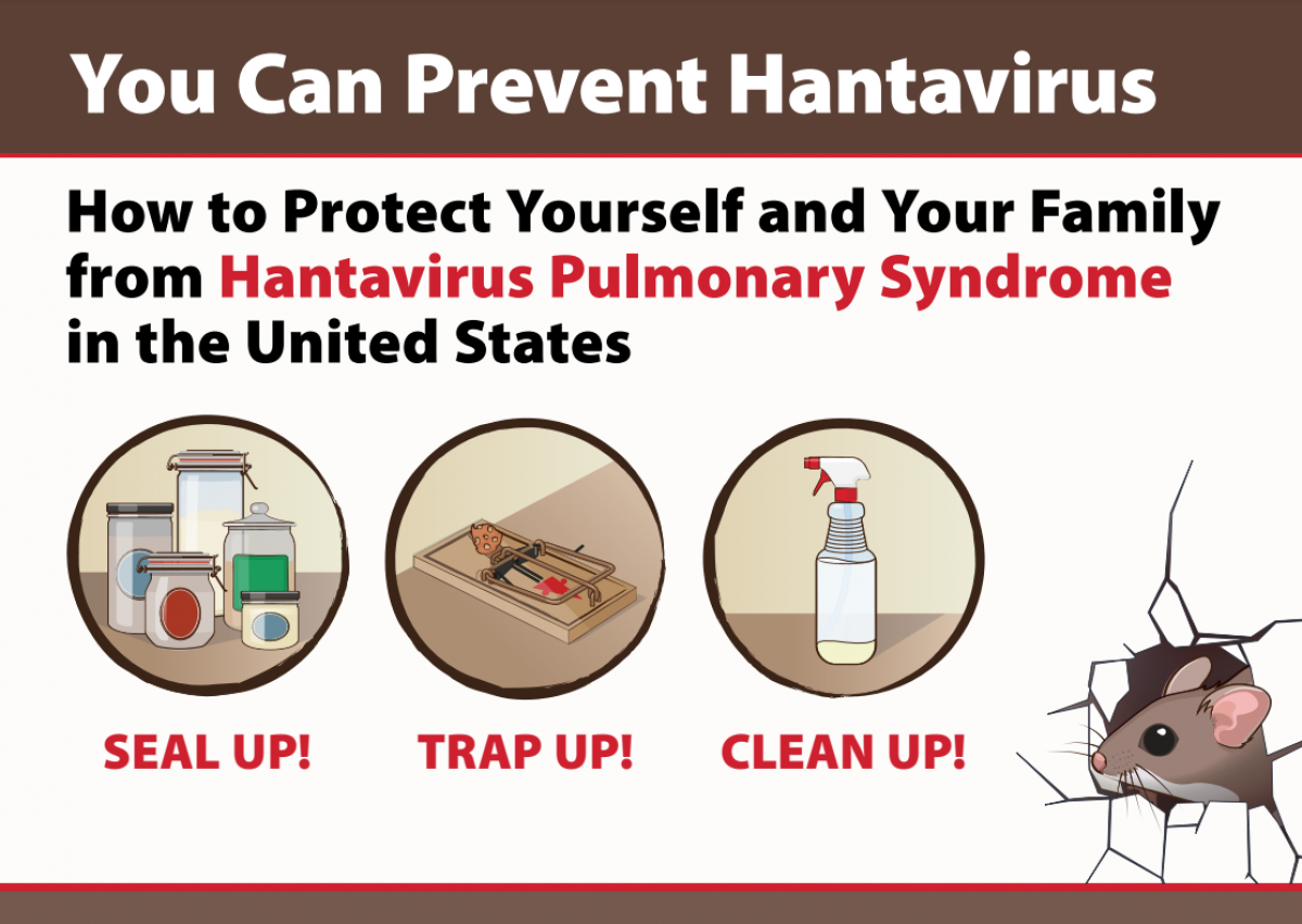 You Can Prevent Hantavirus