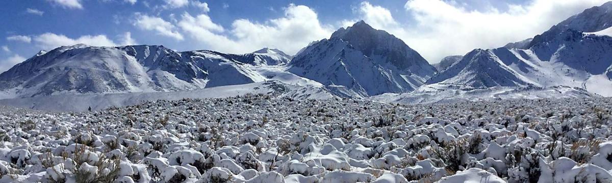 Winter Recreation in Mono County